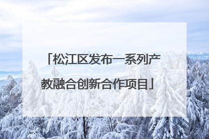松江区发布一系列产教融合创新合作项目