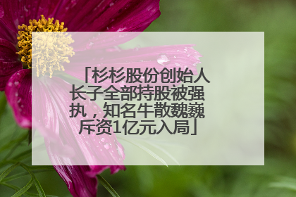 杉杉股份创始人长子全部持股被强执，知名牛散魏巍斥资1亿元入局