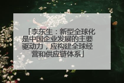 李东生：新型全球化是中国企业发展的主要驱动力，应构建全球经营和供应链体系