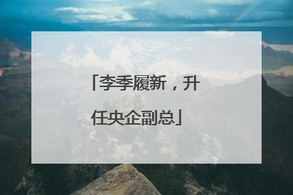 李季履新，升任央企副总
