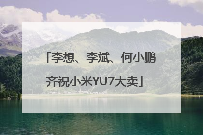 李想、李斌、何小鹏齐祝小米YU7大卖