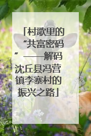 村歌里的“共富密码”——解码沈丘县冯营镇李寨村的振兴之路