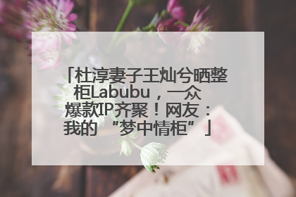 杜淳妻子王灿兮晒整柜Labubu，一众爆款IP齐聚！网友：我的 “梦中情柜”