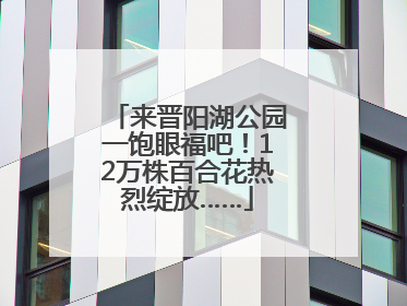 来晋阳湖公园一饱眼福吧！12万株百合花热烈绽放……