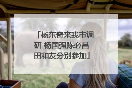 杨东奇来我市调研 杨国强陈必昌田和友分别参加
