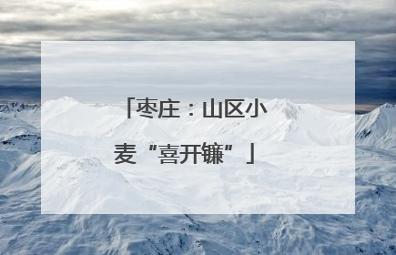枣庄：山区小麦“喜开镰”