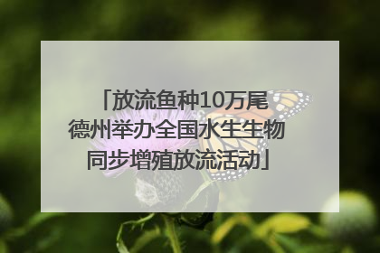 放流鱼种10万尾 德州举办全国水生生物同步增殖放流活动