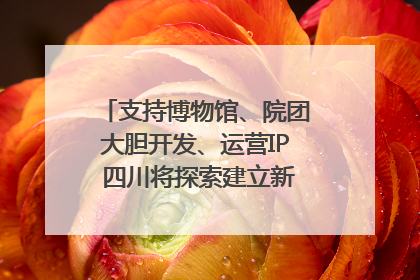 支持博物馆、院团大胆开发、运营IP 四川将探索建立新的收入分配激励机制｜新闻发布最前线