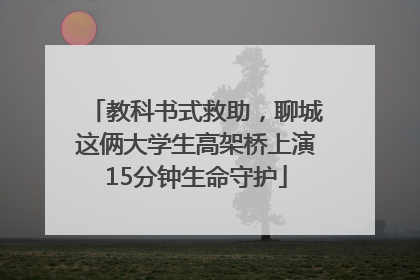 教科书式救助，聊城这俩大学生高架桥上演15分钟生命守护