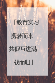教育实习携梦而来 共促互进满载而归