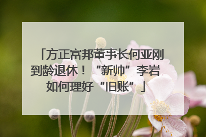 方正富邦董事长何亚刚到龄退休！“新帅”李岩如何理好“旧账”