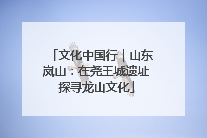 文化中国行｜山东岚山：在尧王城遗址探寻龙山文化