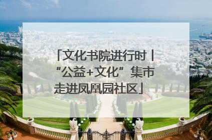 文化书院进行时丨“公益+文化”集市走进凤凰园社区
