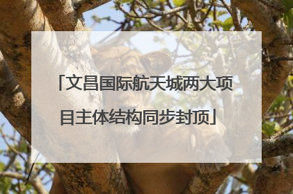 文昌国际航天城两大项目主体结构同步封顶