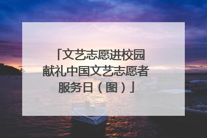 文艺志愿进校园 献礼中国文艺志愿者服务日（图）