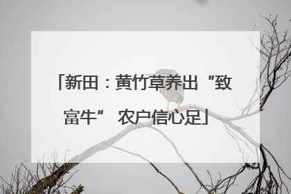 新田：黄竹草养出“致富牛” 农户信心足