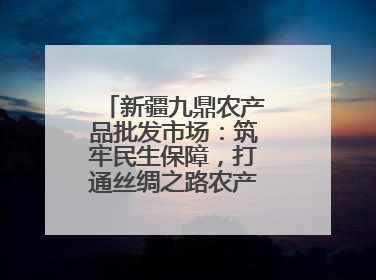 新疆九鼎农产品批发市场：筑牢民生保障，打通丝绸之路农产品贸易枢纽