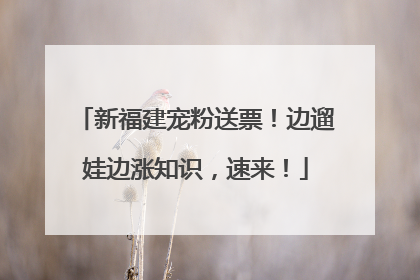 新福建宠粉送票！边遛娃边涨知识，速来！