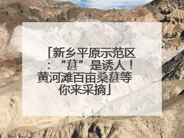 新乡平原示范区：“葚”是诱人！黄河滩百亩桑葚等你来采摘