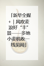 新华全媒+｜风吹麦浪好“丰”景——多地小麦机收一线见闻