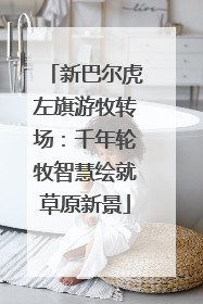 新巴尔虎左旗游牧转场：千年轮牧智慧绘就草原新景