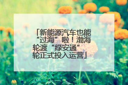 新能源汽车也能“过海”啦！渤海轮渡“绿安通” 轮正式投入运营