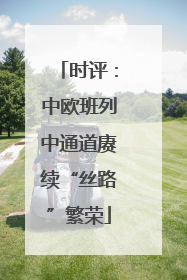 时评：中欧班列中通道赓续“丝路”繁荣