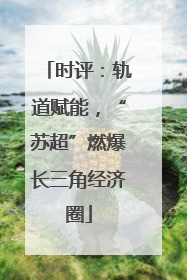 时评：轨道赋能，“苏超”燃爆长三角经济圈