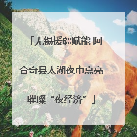 无锡援疆赋能 阿合奇县太湖夜市点亮璀璨“夜经济”