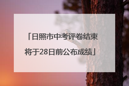 日照市中考评卷结束 将于28日前公布成绩