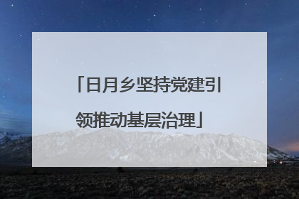 日月乡坚持党建引领推动基层治理