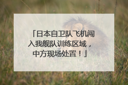 日本自卫队飞机闯入我舰队训练区域，中方现场处置！