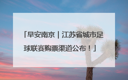 早安南京｜江苏省城市足球联赛购票渠道公布！