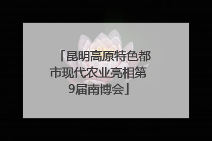 昆明高原特色都市现代农业亮相第9届南博会