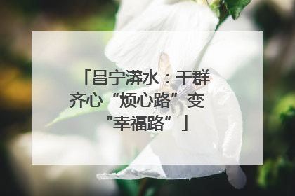 昌宁漭水：干群齐心“烦心路”变“幸福路”