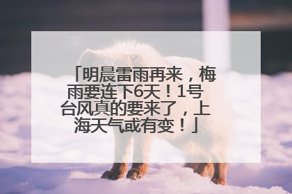 明晨雷雨再来，梅雨要连下6天！1号台风真的要来了，上海天气或有变！