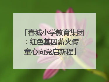 春城小学教育集团：红色基因薪火传 童心向党启新程