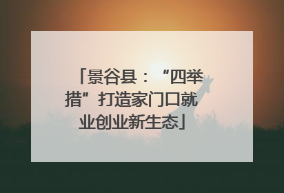 景谷县：“四举措”打造家门口就业创业新生态