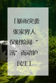 暴雨突袭 张家界人保财险闻“汛”而动护民生