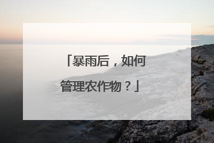 暴雨后，如何管理农作物？