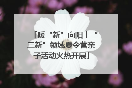 暖“新”向阳丨“三新”领域夏令营亲子活动火热开展