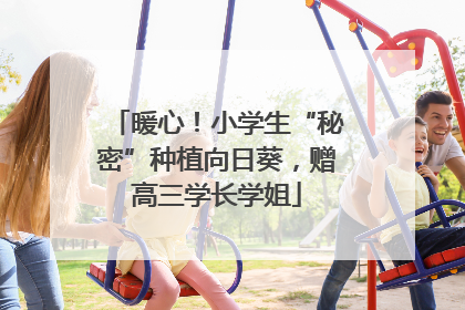 暖心！小学生“秘密”种植向日葵，赠高三学长学姐