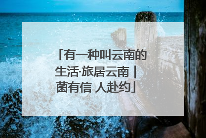 有一种叫云南的生活·旅居云南｜菌有信 人赴约
