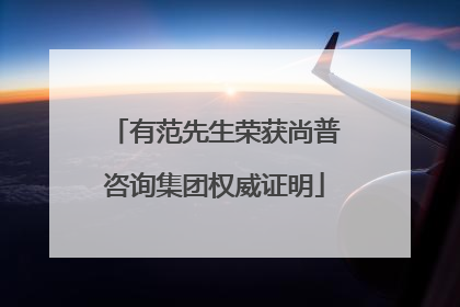 有范先生荣获尚普咨询集团权威证明