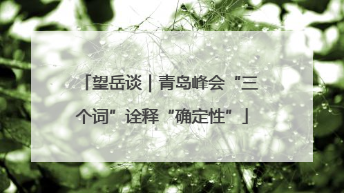 望岳谈｜青岛峰会“三个词”诠释“确定性”