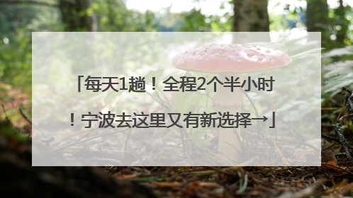 每天1趟！全程2个半小时！宁波去这里又有新选择→