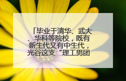 毕业于清华、武大、华科等院校，既有新生代又有中生代，光谷这支“理工男团”为何“出道”？