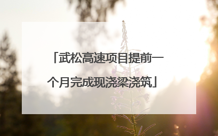 武松高速项目提前一个月完成现浇梁浇筑