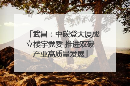 武昌：中碳登大厦成立楼宇党委 推进双碳产业高质量发展