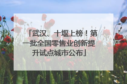 武汉、十堰上榜！第一批全国零售业创新提升试点城市公布